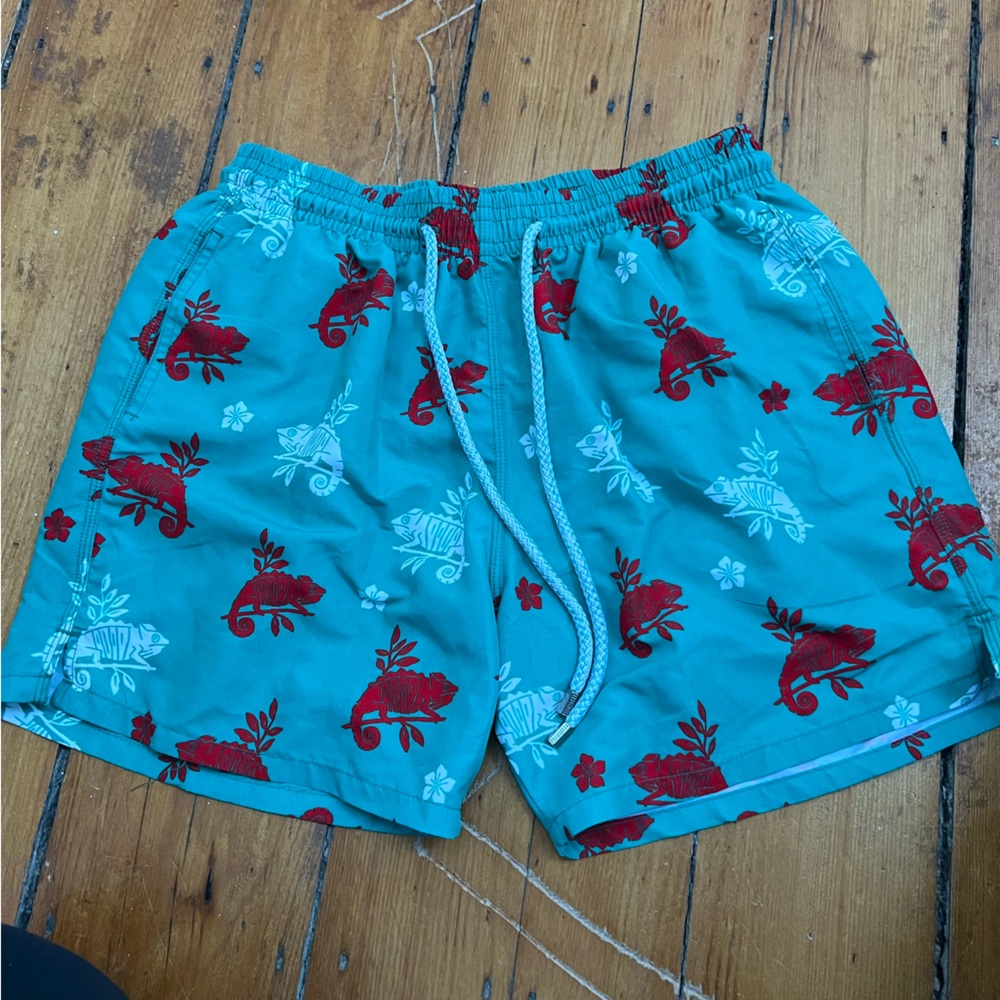 Granadilla Green Chameleons Swim Trunks (large)